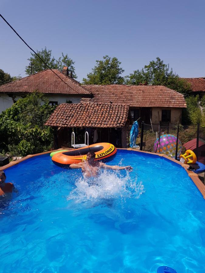 Lozanski Ambar Villa Boljevac Exterior photo